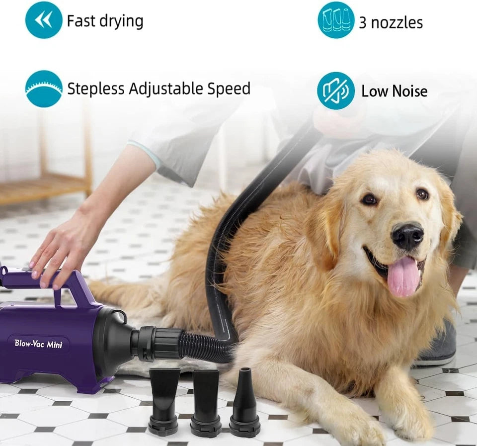Secador de pelo de alta velocidad profesional mascotas púrpura 110V