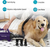 Secador de pelo de alta velocidad profesional mascotas púrpura 110V