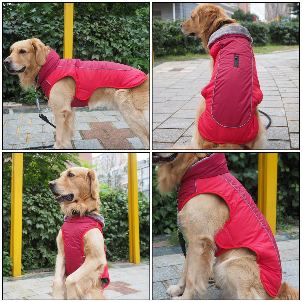 Chaqueta de cachorro Ropa de mascota para perros Tamaño XL